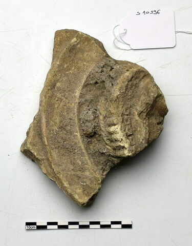 plaque Campana, image 1/1