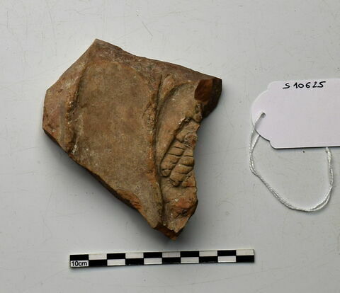 plaque Campana, image 1/1