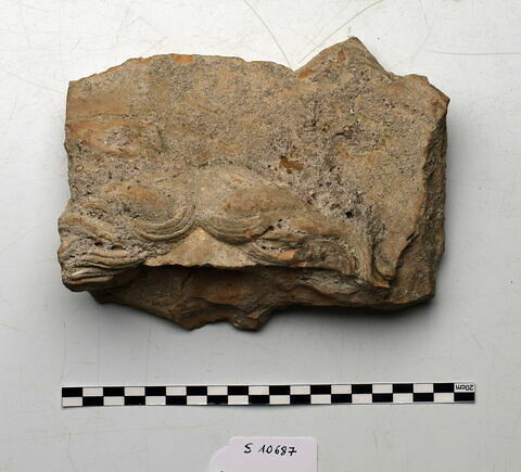 plaque Campana, image 1/1