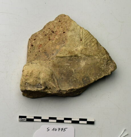 plaque Campana, image 1/1