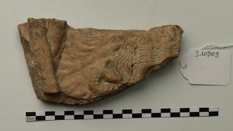 plaque Campana, image 1/1