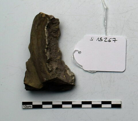 plaque Campana, image 1/1