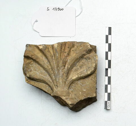 plaque Campana, image 1/1