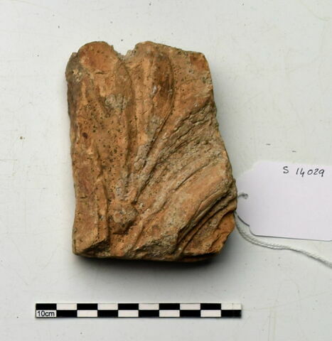 plaque Campana, image 1/1