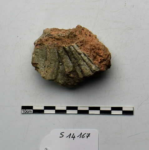 plaque Campana, image 1/1