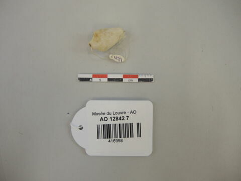 collier ; perle, image 1/2