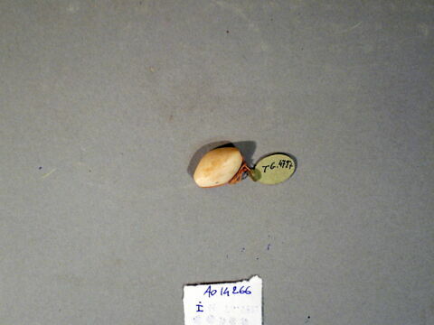 cachet ; perle, image 13/17