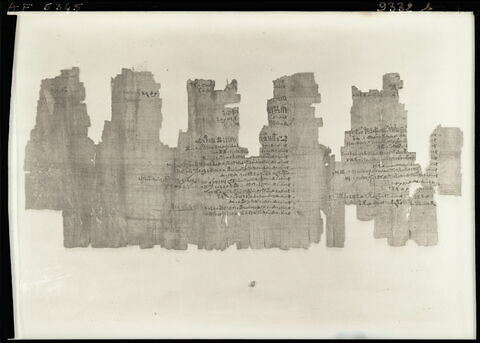 papyrus documentaire, image 6/18
