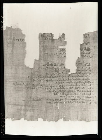 papyrus documentaire, image 9/18