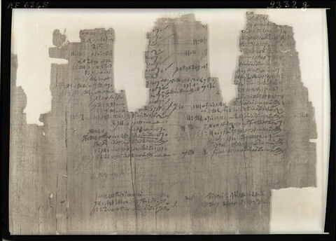 papyrus documentaire, image 11/18