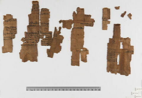 papyrus documentaire, image 2/18