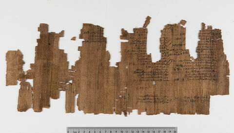 papyrus documentaire, image 4/18
