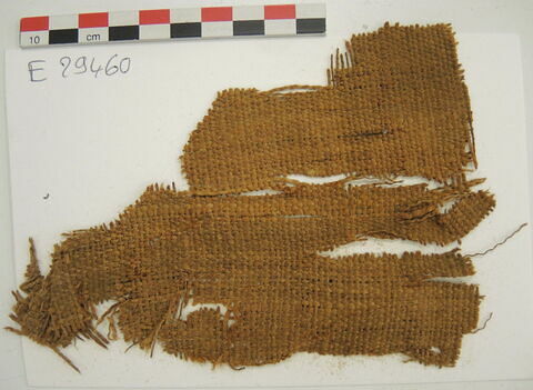 tissu ; fragment, image 2/2