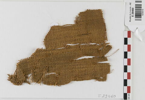 tissu ; fragment