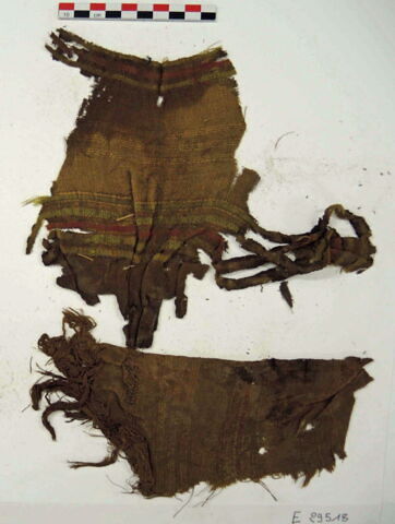 tissu ; fragments ; fragments, image 2/2