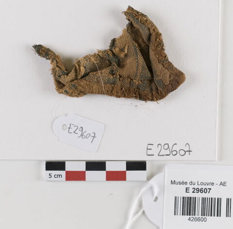 tissu ; fragment, image 1/2