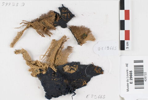 bande décorative d'habillement ; fragments, image 1/2