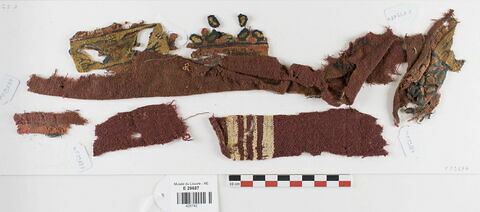 bande décorative d'habillement ; tunique  ; fragments