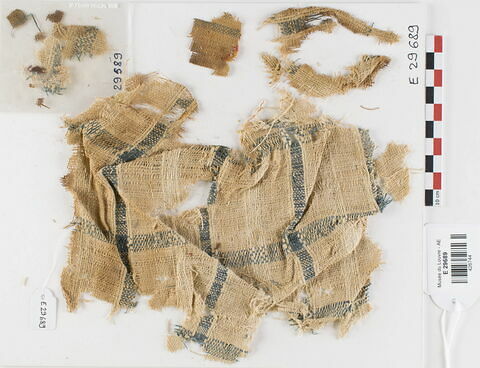 tissu ; fragments ; fragments, image 1/2