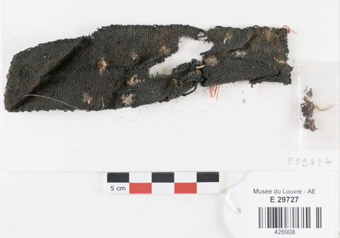 bande décorative d'habillement ; fragments, image 1/2