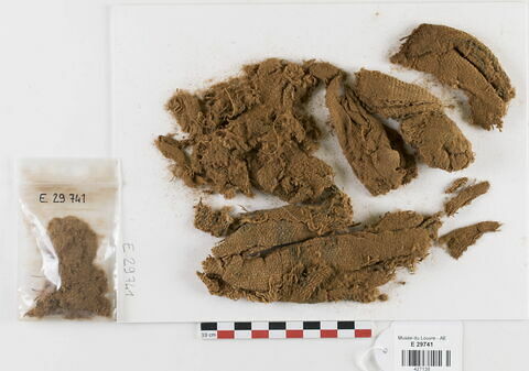 tissu ; fragments