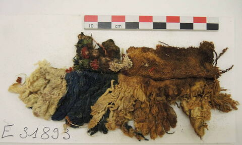 clavus ; fragment, image 2/2