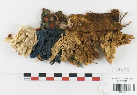 clavus ; fragment, image 1/2