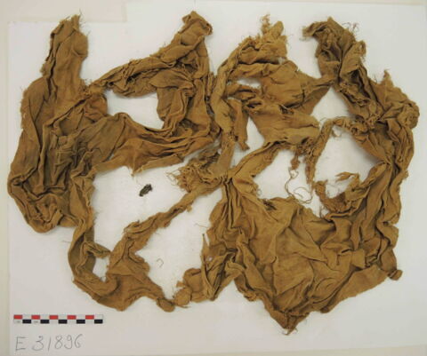 tissu ; fragment, image 2/2