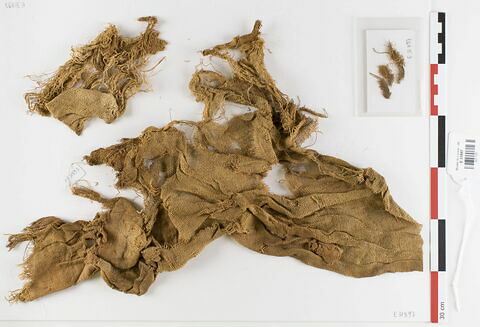 tissu ; fragments ; fragments