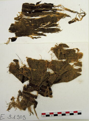 tissu ; fragments, image 2/2
