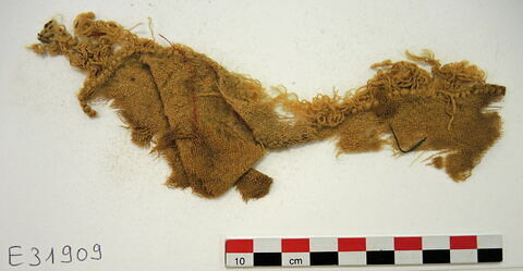 tissu ; fragment, image 2/2