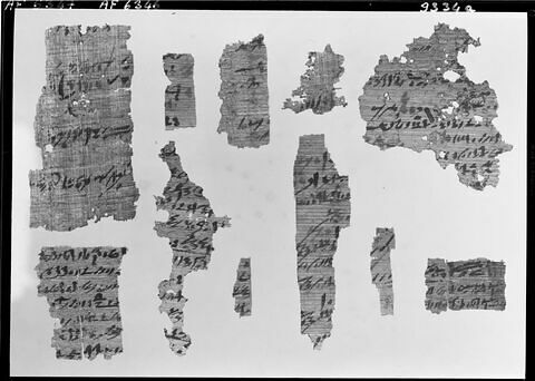 papyrus documentaire, image 5/5