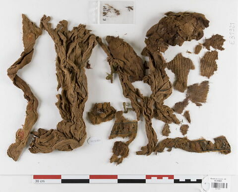 tissu ; fragments ; brut de fouilles, image 1/1