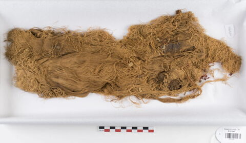 tissu ; fragment, image 1/2