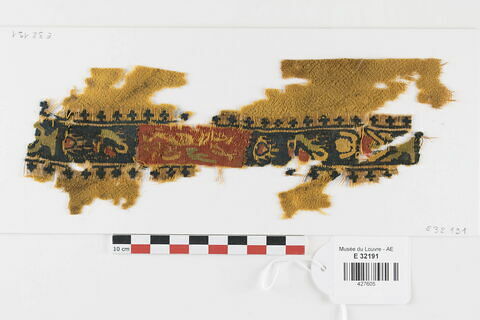 clavus ; fragment