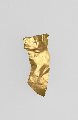 fragment, image 1/2