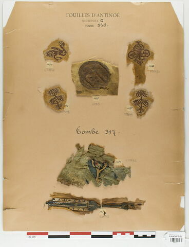 orbiculus ; clavus ; décor de textile, image 2/3