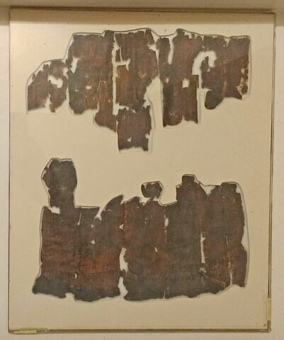 papyrus documentaire, image 2/4