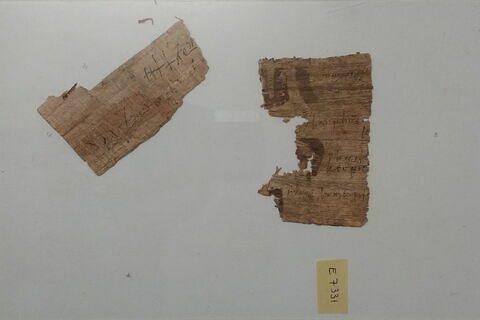 papyrus