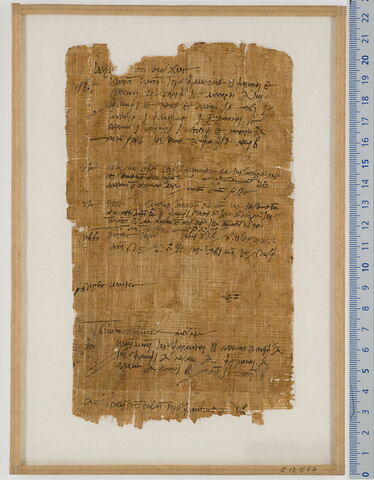 papyrus, image 1/2