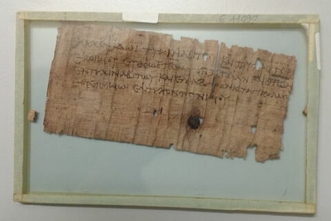 papyrus, image 1/1