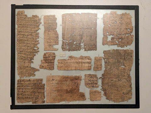 papyrus, image 1/2
