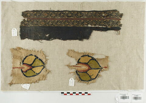 bande décorative d'habillement ; décor de textile ; fragment