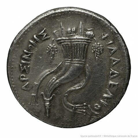 Tétradrachme d'argent de Ptolémée III, image 2/2