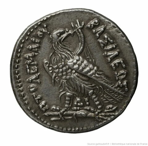 Tétradrachme d'argent de Ptolémée IV Philopator, image 2/2