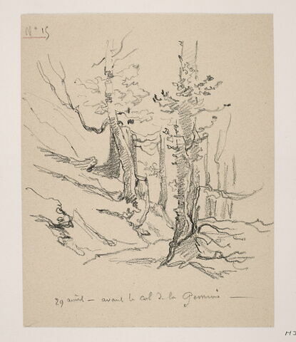 Album du "Voyage en Suisse". 1864, d'après Constant DUTILLEUX - Arbres de montagne au col de Gemini