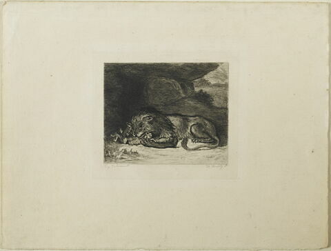 Lion dévorant un lapin, d'après Delacroix