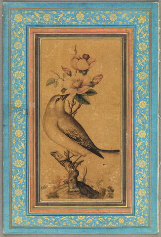 Oiseau sur une branche fleurie, image 1/1