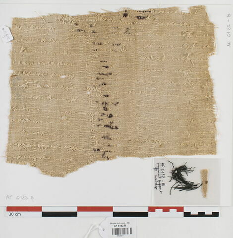 tissu ; fragment, image 1/1