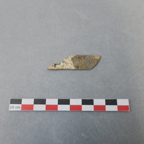 objet indéterminé, fragment, image 1/1
